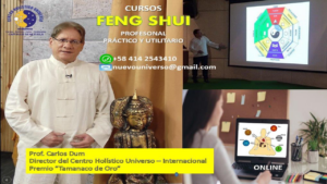 Feng-Shui Profesional «Práctico y Utilitario»