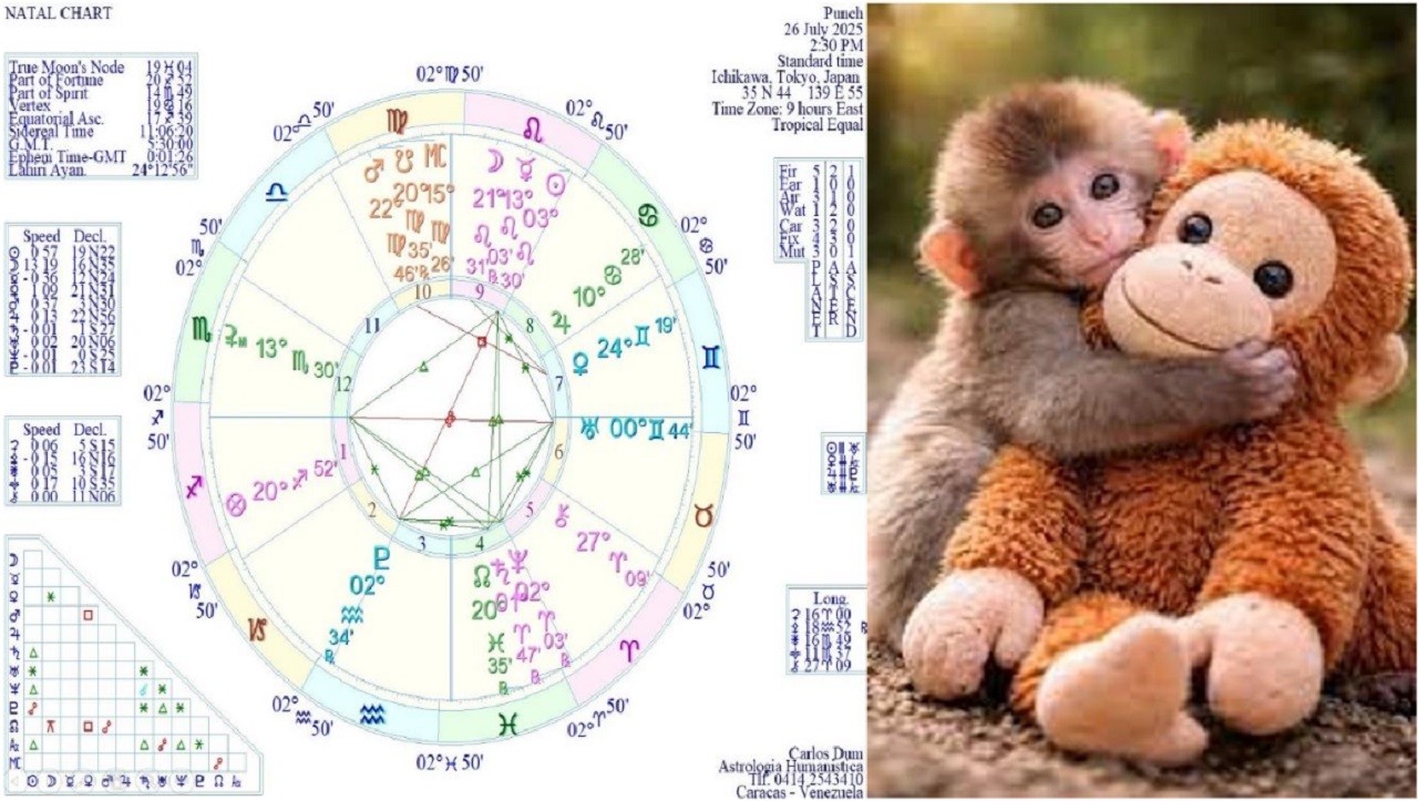 2026 CN Monkey PUNCH